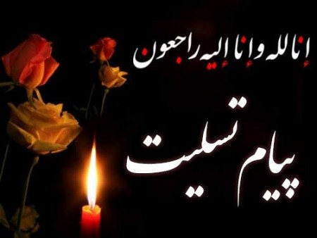 پیام تسلیت رئیس فدراسیون کونگ‌فو و هنرهای رزمی در پی درگذشت استاد هوشنگ حبیب‌پور